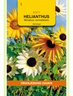 OBZ HELIANTHUS, MINIATUUR ZONNEBLOEM GEMENGD