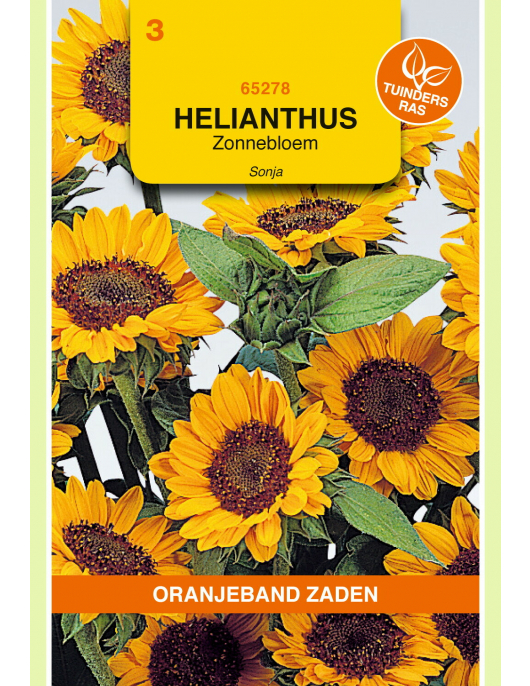 OBZ HELIANTHUS, ZONNEBLOEM SONJA