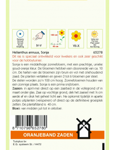 OBZ HELIANTHUS, ZONNEBLOEM SONJA