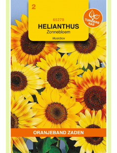 OBZ HELIANTHUS, ZONNEBLOEM MUSICBOX GEMENGD