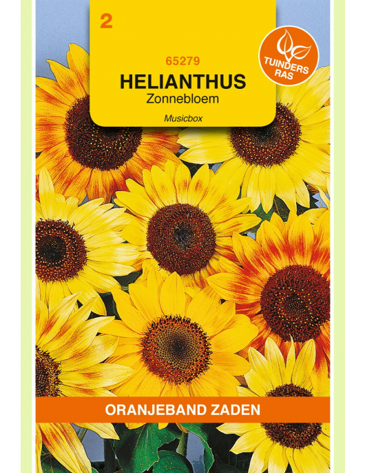 OBZ HELIANTHUS, ZONNEBLOEM MUSICBOX GEMENGD