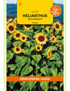 OBZ HELIANTHUS, ZONNEBLOEM HOLIDAY