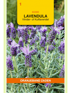 OBZ LAVENDEL, VLINDER- OF KUIFLAVENDEL