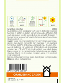 OBZ LAVENDEL, VLINDER- OF KUIFLAVENDEL