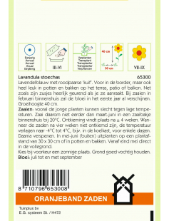 OBZ LAVENDEL, VLINDER- OF KUIFLAVENDEL