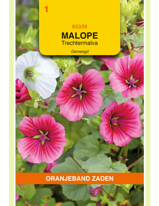 OBZ MALOPE, TRECHTERMALVA GEMENGD