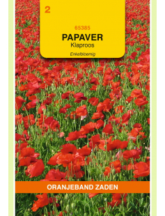 OBZ PAPAVER, KLAPROOS ENKELBLOEMIG (GEWONE)