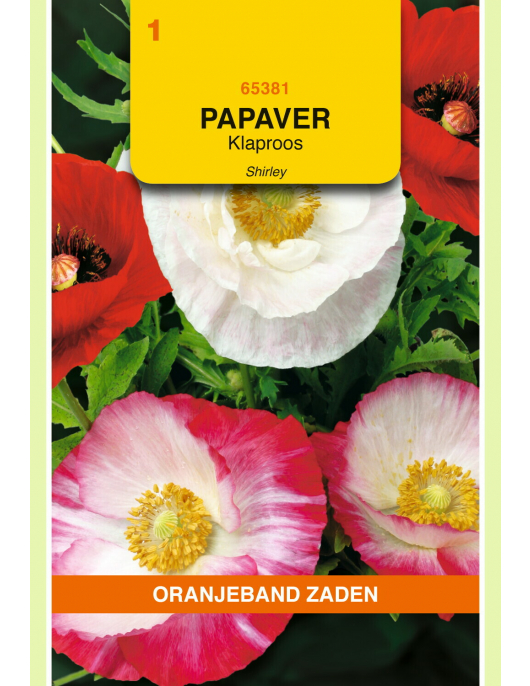 OBZ PAPAVER, KLAPROOS SHIRLEY