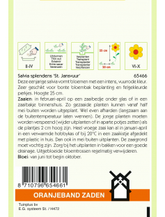 OBZ SALVIA, VUURSALIE ST JANSVUUR