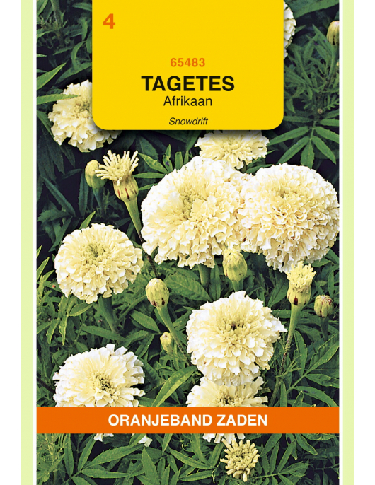 OBZ TAGETES, AFRIKAAN SNOWDRIFT