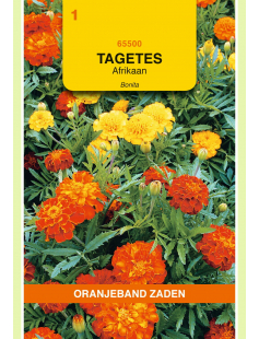 OBZ TAGETES, AFRIKAAN BONITA GEMENGD