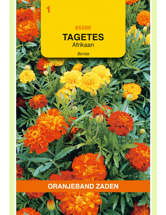 OBZ TAGETES, AFRIKAAN BONITA GEMENGD