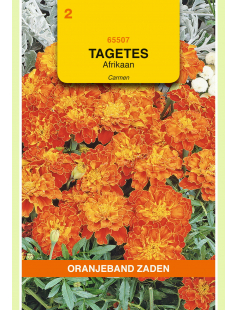 OBZ TAGETES, AFRIKAAN CARMEN