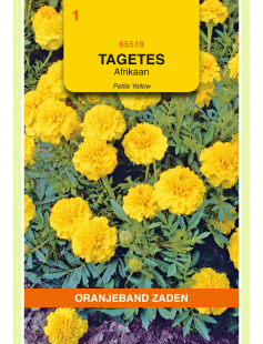 OBZ TAGETES, AFRIKAAN PETITE YELLOW
