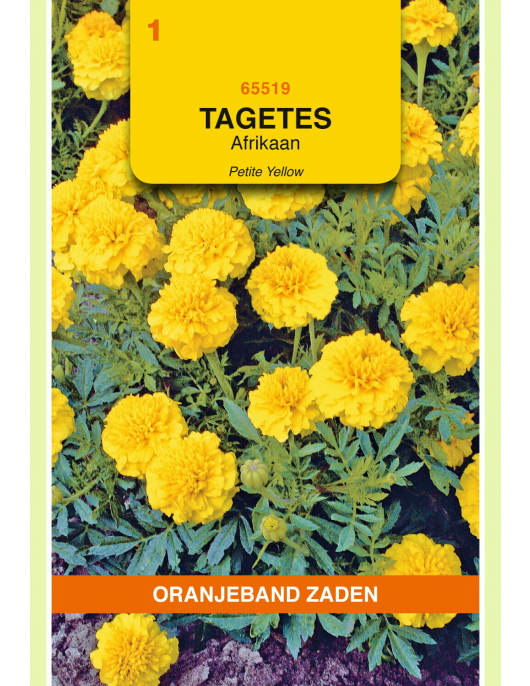 OBZ TAGETES, AFRIKAAN PETITE YELLOW