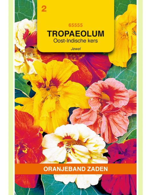 OBZ TROPAEOLUM, OOST-INDISCHE KERS JEWEL DUBBELBL. GEMENGD