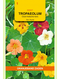 OBZ TROPAEOLUM, OOST-INDISCHE KERS TOM THUMB ENKELBL.GEMENGD