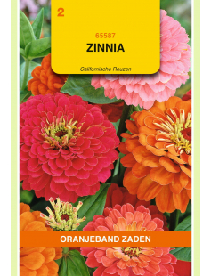OBZ ZINNIA CALIFORNISCHE REUZEN GEMENGD