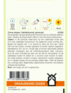 OBZ ZINNIA DAHLIABLOEMIG GEMENGD