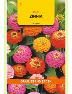 OBZ ZINNIA POMPON GEMENGD