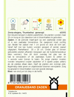 OBZ ZINNIA THUMBELINA GEMENGD