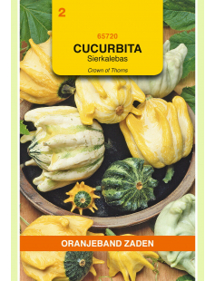 OBZ CUCURBITA, SIERKALEBAS CROWNS OF THORNS GEMENGD