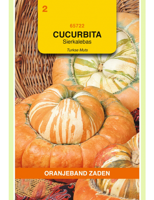 OBZ CUCURBITA, SIERKALEBAS TURKSE MUTS