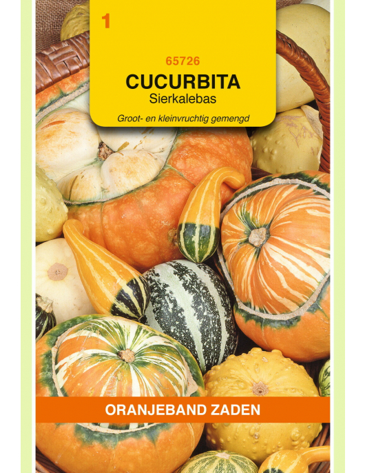 OBZ CUCURBITA, SIERKALEBAS GROOT- EN KLEINVRUCHTIG GEMENGD OBZ CUCURBITA, SIERKALEBAS GROOT- EN KLEINVRUCHTIG GEMENGD