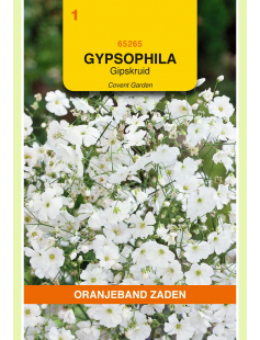 OBZ GYPSOPHILA, GIPSKRUID COVENT GARDEN