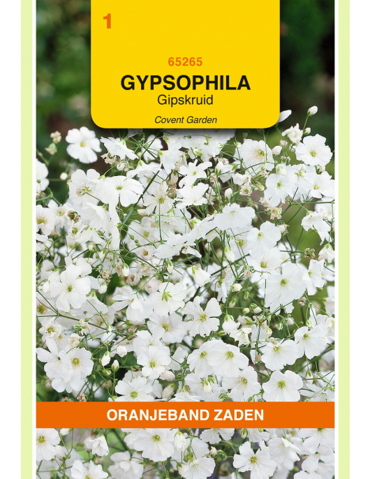 OBZ GYPSOPHILA, GIPSKRUID COVENT GARDEN OBZ GYPSOPHILA, GIPSKRUID COVENT GARDEN