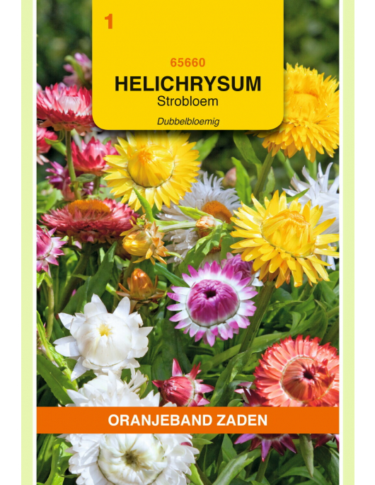 OBZ HELICHRYSUM, STROBLOEM DUBBELBLOEMIG GEMENGD OBZ HELICHRYSUM, STROBLOEM DUBBELBLOEMIG GEMENGD
