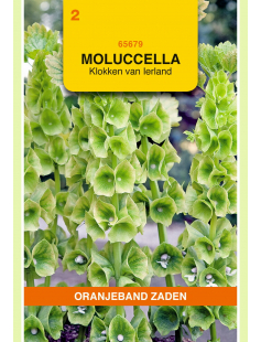 OBZ MOLUCCELLA, KLOKKEN VAN IERLAND