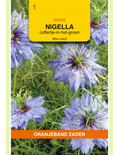 OBZ NIGELLA, JUFFERTJE-IN-HET-GROEN MISS JEKYLL