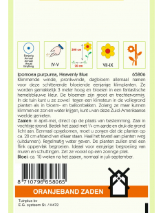 OBZ IPOMOEA, KLIMMENDE WINDE HEAVENLY BLUE