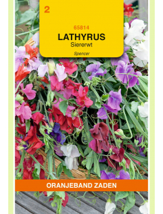 OBZ LATHYRUS, REUK- OF SIERERWT SPENCER GEMENGD