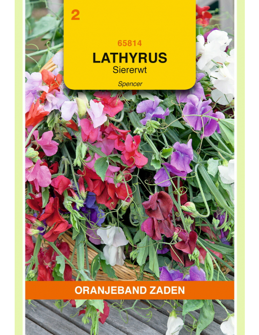 OBZ LATHYRUS, REUK- OF SIERERWT SPENCER GEMENGD OBZ LATHYRUS, REUK- OF SIERERWT SPENCER GEMENGD