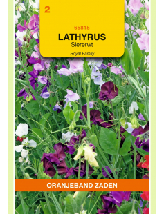 OBZ LATHYRUS, REUK- OF SIERERWT ROYAL GEMENGD