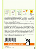 OBZ CHRYSANTHEMUM, LAGE MARGRIET SILVER PRINCESS