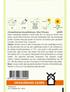 OBZ CHRYSANTHEMUM, LAGE MARGRIET SILVER PRINCESS