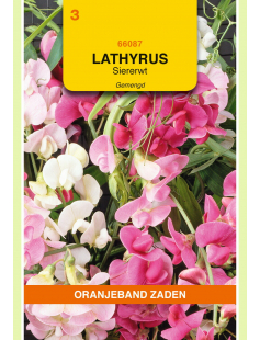 OBZ LATHYRUS, REUK- OF SIERERWT GEMENGD, OVERBLIJVEND