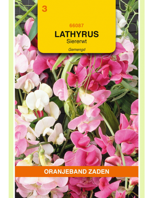 OBZ LATHYRUS, REUK- OF SIERERWT GEMENGD, OVERBLIJVEND OBZ LATHYRUS, REUK- OF SIERERWT GEMENGD, OVERBLIJVEND