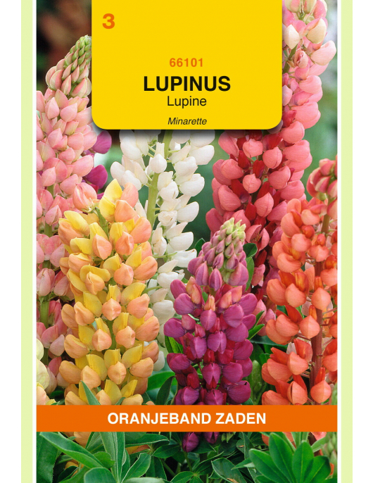 OBZ LUPINUS, LUPINE MINARETTE GEMENGD OBZ LUPINUS, LUPINE MINARETTE GEMENGD