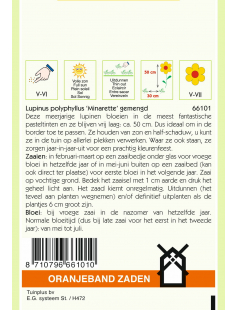 OBZ LUPINUS, LUPINE MINARETTE GEMENGD