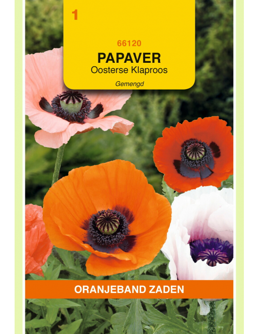 OBZ PAPAVER, OOSTERSE KLAPROOS GEMENGD OBZ PAPAVER, OOSTERSE KLAPROOS GEMENGD