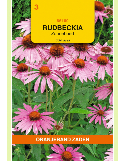 OBZ RUDBECKIA, ZONNEHOED ECHINACEA