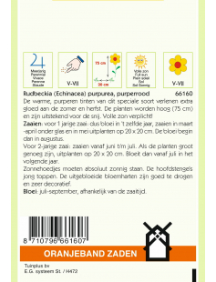 OBZ RUDBECKIA, ZONNEHOED ECHINACEA