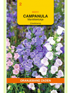 OBZ CAMPANULA, MARIETTEKLOKJE ENKELBLOEMIG GEMENGD