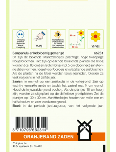 OBZ CAMPANULA, MARIETTEKLOKJE ENKELBLOEMIG GEMENGD