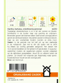 OBZ DIANTHUS, DUIZENDSCHOON ENKELBLOEMIG GEMENGD OBZ DIANTHUS, DUIZENDSCHOON ENKELBLOEMIG GEMENGD