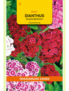 OBZ DIANTHUS, DUIZENDSCHOON DUBBELBLOEMIG GEMENGD